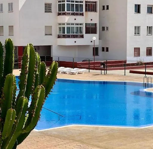 Detail Palmeras * אדחה