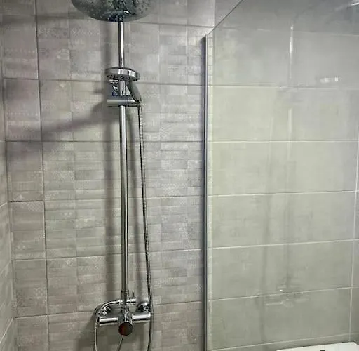 Detail Palmeras Costa Adeje (Tenerife)