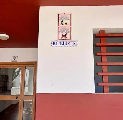 Detail Palmeras Daire Costa Adeje